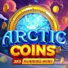 Arctic Coins RTP