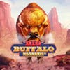 Big Buffalo Megaways RTP