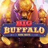 Big Buffalo RTP