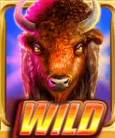 Simbolo Bison Wilds DoubleMax 9