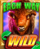 Simbolo Bison Wilds DoubleMax 9