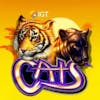 Cats RTP