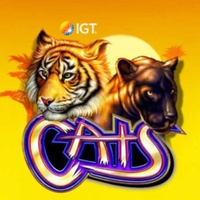 Cats