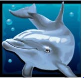 Simbolo Dolphins Pearl 1