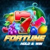 Fortune Hold and Win RTP