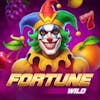 Fortune Wild RTP