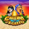 Gallina D'Egitto RTP