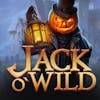 Jack-O-Wild RTP