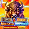 Power Boost Buffalo Express RTP