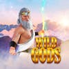 Wild Gods RTP