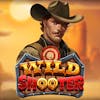 Wild Shooter RTP